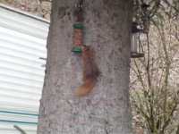 Easter 2018 037  Euan trying his hand at wildlife photography. : Easter 2018