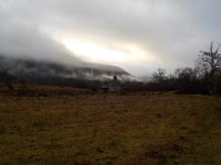 invermaillie 045 : invermaillie