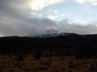 invermaillie 058 : invermaillie