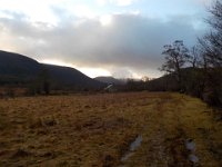 invermaillie 059 : invermaillie