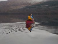 invermaillie 079 : invermaillie