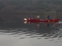 invermaillie 085 : invermaillie