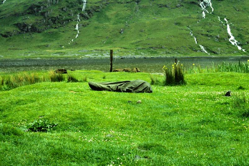 steven0013.JPG - and what to do when its full